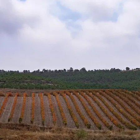 Εξοχικό σπίτι El Lagar