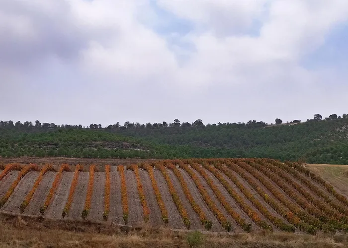 컨트리하우스 El Lagar